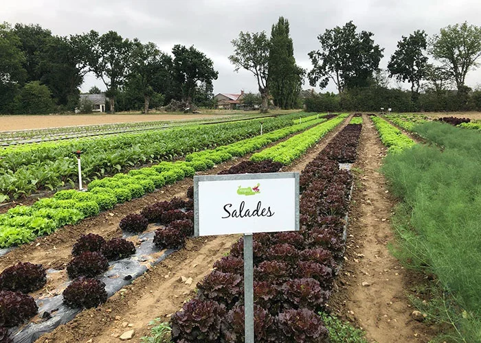 Les vergers du bois Macé 